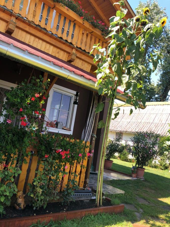 Hero 4 Sterne Ferienhaus Байя Екстериор снимка